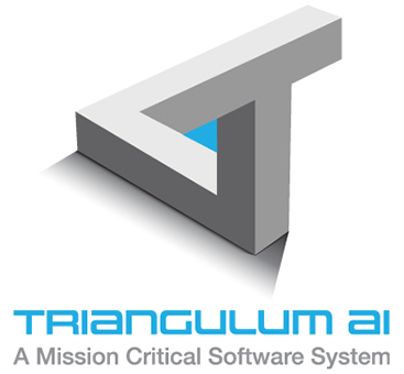 Triangulum AI by Rapid Response Monitoring