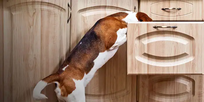 WorkHorse-workwith-Communication-partner-securecom-help-guides